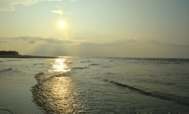 Gangasagar Day Tour Package