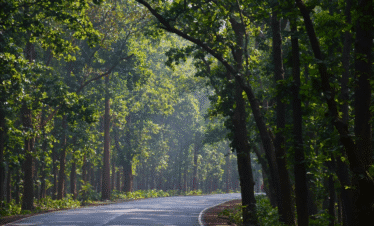 JHARGRAM – BELPAHARI (WEST BENGAL)