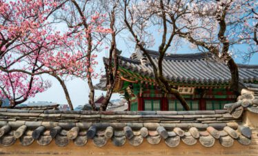 customizable South Korea tour
