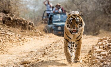Madhya Pradesh Tour Package