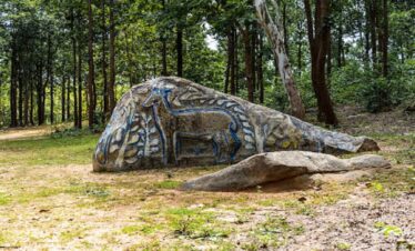 Domestic Tour Packages