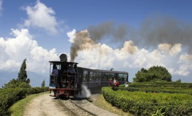 darjeeling Tour