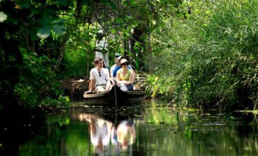 Best Places to visit in Kerala