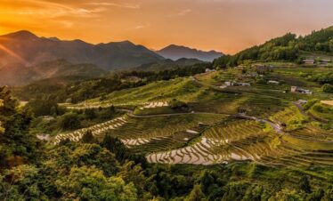 BLISSFUL MYSORE COORG & OOTY TOUR