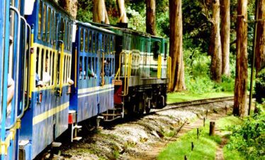 Mysore Coorg Ooty Sightseeing Tour from Bangalore