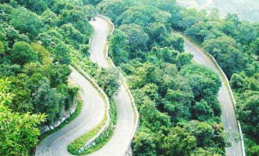 Best Time To Visit Bangalore Mysore Ooty Coorg