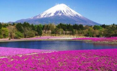 best japan tour packages from india