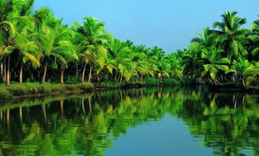 Kerala Tour Packages